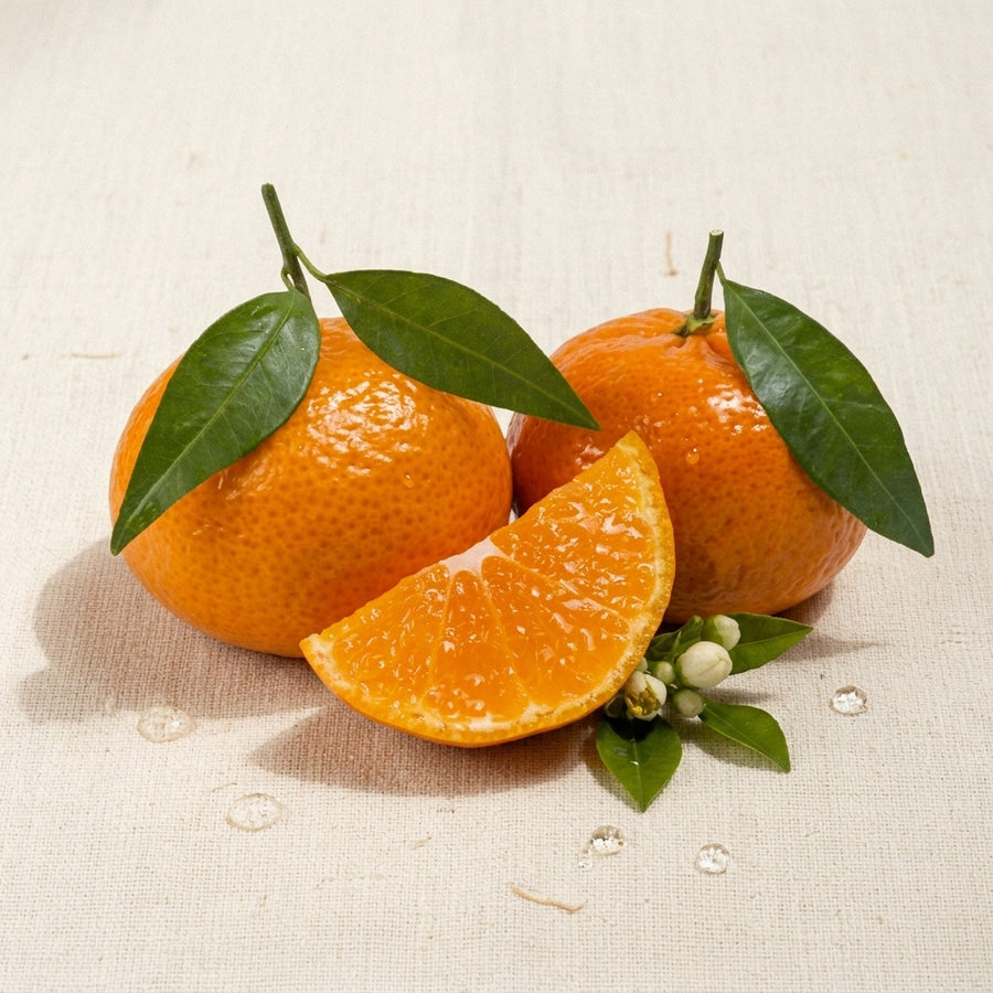 Late Mandarins